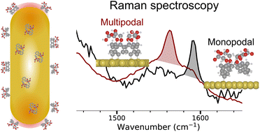 Graphical abstract: Multipodal Au–C grafting of calix[4]arene molecules on gold nanorods