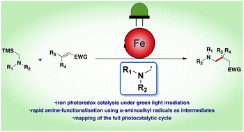 Graphical abstract: Aminomethylations of electron-deficient compounds—bringing iron photoredox catalysis into play