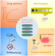 Graphical abstract: Two-dimensional nanomaterials based on rare earth elements for biomedical applications