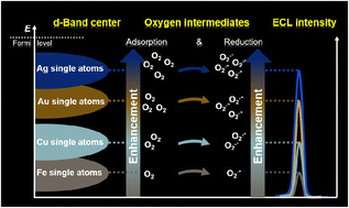Graphical abstract: Spotting d-band centers of single-atom catalysts by oxygen intermediate-boosted electrochemiluminescence