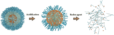 Graphical abstract: Facile construction of polyoxometalate-polymer hybrid nanoparticles with pH/redox dual-responsiveness