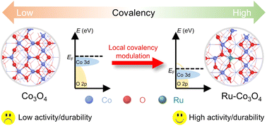 Graphical abstract: Regulating Co–O covalency to manipulate mechanistic transformation for enhancing activity/durability in acidic water oxidation