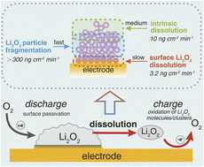 Graphical abstract: Sluggish Li2O2 dissolution – a key to unlock high-capacity lithium–oxygen batteries