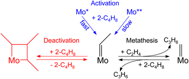 Graphical abstract: Time-resolved and theoretical analysis of Mo-carbene transformations in metathesis of ethylene with 2-butene