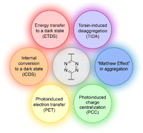 Graphical abstract: Unveiling the photophysical mechanistic mysteries of tetrazine-functionalized fluorogenic labels