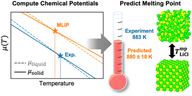 Graphical abstract: Computing chemical potentials with machine-learning-accelerated simulations to accurately predict thermodynamic properties of molten salts