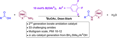 Graphical abstract: Borate-catalysed direct amidation reactions of coordinating substrates