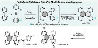 Graphical abstract: Rapid access to functionalized nanographenes through a palladium-catalyzed multi-annulation sequence