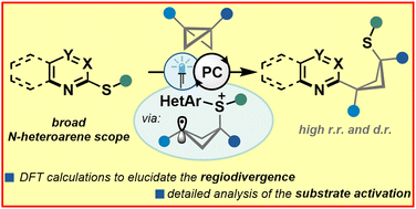 Graphical abstract: Mechanistic insights into the regiodivergent insertion of bicyclo[1.1.0]butanes towards carbocycle-tethered N-heteroarenes