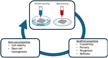 Graphical abstract: Comparative evaluation of melt- vs. solution-printed poly(ε-caprolactone)/hydroxyapatite scaffolds for bone tissue engineering applications