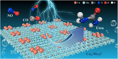 Graphical abstract: Efficient urea synthesis via one-step N–C–N coupling: strong metal–support interaction-driven planar Cu clusters on two-dimensional Mo2C MXene
