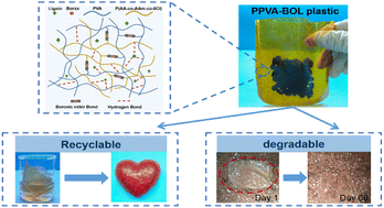 Graphical abstract: Tough, recyclable and degradable plastics with multiple functions based on supramolecular covalent adaptive networks