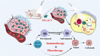 Graphical abstract: Potentiating light-harvesting tactics through an A–D–A structure: repolarization of tumor-associated macrophages through phototherapy