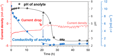 Graphical abstract: Cation transport phenomena during CO2 electroreduction in an H-type cell with a Nafion membrane