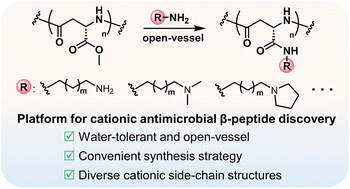 Graphical abstract: An effective approach to obtain functional poly-β-peptides for combating drug-resistant bacterial infections