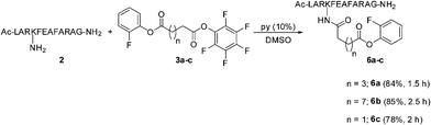 Reaction of mixed diesters (3a–c) with a dodecapeptide (2) containing a free amino group at the side chain of Lys 3.