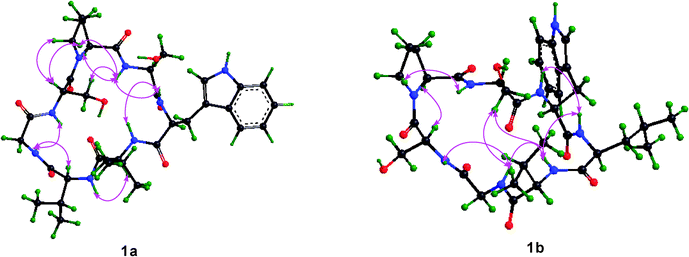 Key ROESY correlations for 1a and 1b respectively.