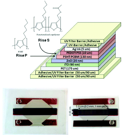 
              RISØ P and RISØ S polymer device, design, and architecture.