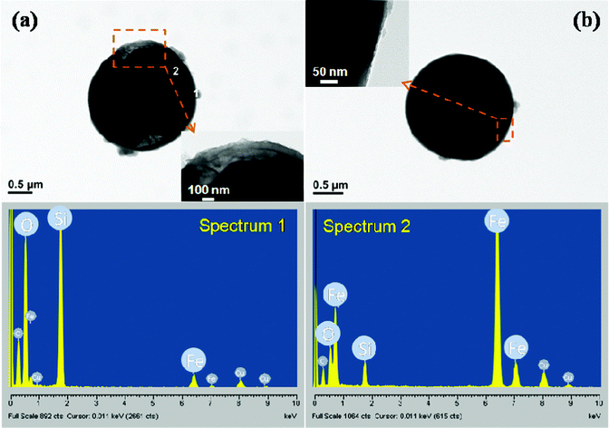 TEM images and EDAX of the core-shell structured particles with a (a) non-sphere core and (b) sphere core CIP particle.