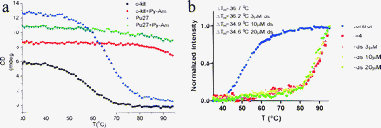 Binding abilities of Py-Am with G-quadruplex DNA. (a) CD melting curves of Pu27 and c-kit (both 10 μM in 10 mM Tris–HCl buffer (pH = 7.4), 5 mM KCl) in the absence and presence of 40 μM Py-Am. (b) FRET melting experiments of human telomeric DNA carried out with F21T (5 mM Li–phosphate buffer (pH 7.0), 10 mM KCl) with Py-Am in the absence and presence of ds20. r means the ratio of Py-Am and DNA.