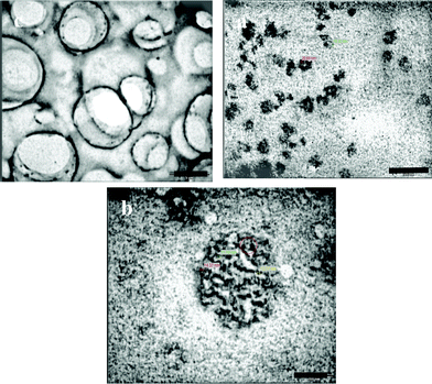 TEM images of (a) big vesicles consisting of supramolecular dendritic polymers (scale 5 μ), (b) Pd nanoparticles encapsulated by supramolecular dendritic polymers (scale 500 nm) and (c) a supramolecular dendritic polymer containing palladium nanoparticles placed on strand-like molecular self-assemblies (scale 200 nm).