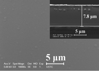 SEM image of the obtained PEM. The inset is an SEM image of the cross section of PEM and its corresponding thickness is indicated.