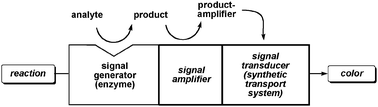 General scheme for biosensing with synthetic transport systems: the latter serve as signal transducers, enzymes serve as signal generators, signal amplifiers are bifunctional molecules that usually catch otherwise elusive analytes after enzymatic signal generation and make them recognizable for the signal transducer.