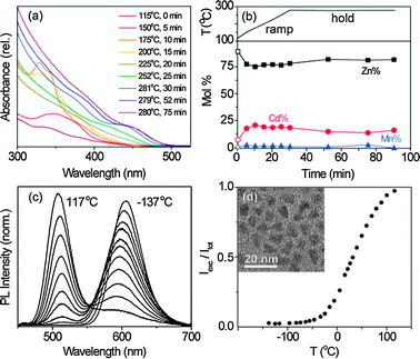 Nanocrystal synthesis and temperature response. (a) Absorption spectra of NC aliquots collected during a reaction, showing a redshift of the absorption onset with reaction time. (b) Top: temperature ramp and hold during synthesis. Bottom: cation mole fractions in precipitated aliquots vs reaction time, measured by ICP-AES. Final composition = Zn0.829Cd0.168Mn0.003Se. (c) Variable-temperature PL spectra of colloidal Zn0.784Cd0.209Mn0.007Se/ZnSe NCs normalized by the total integrated PL intensity. (d) Thermometric response curve (Iexc/Itotvs T) for the NCs of (c), showing a maximum slope of 9.3 × 10−3 °C−1. Inset: TEM image of these NCs. Scale bar = 20 nm.