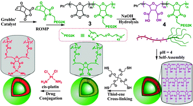 The chemistry of constructing cross-linked polymer vesicles and their drug conjugation with cis-platinum.