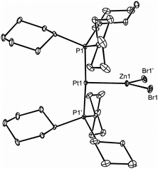 Molecular structure of 1 (25% thermal ellipsoids; hydrogen atoms omitted). Selected bond lengths (Å) and angles (°) for 1: Pt(1)–P(1) 2.2760(6), Pt(1)–Zn(1) 2.4040(6), Br(1)–Zn(1) 2.3305(5), P(1)′–Pt(1)–P(1) 176.28(3), Br(1)–Zn(1)–Br(1)′ 118.75(3), Br(1)–Zn(1)–Pt(1) 120.626(15), Br(1)′–Zn(1)–Pt(1) 120.626(15); symmetry operation: ′−x + 1, y, −z + 1/2. Selected bond lengths (Å) and angles (°) for 2 (see ESI for ORTEP diagram): Pt(1)–P(1) 2.2799(13), Pt(1)–P(2) 2.2920(13), Pt(1)–Cd(1) 2.5867(6), I(1)–Cd(1) 2.6974(8), I(2)–Cd(1) 2.6997(8), P(1)–Pt(1)–P(2) 176.92(3), Pt(1)–Cd(1)–I(1) 122.176(19), Pt(1)–Cd(1)–I(2) 117.531(19), I(1)–Cd(1)–I(2) 120.21(2).