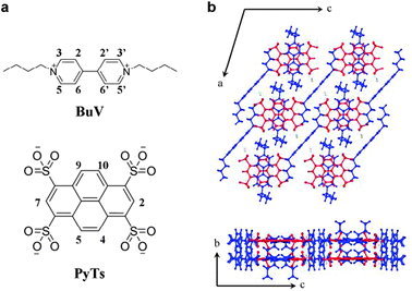 (a) Chemical structures of BuV (top) and PyTs (bottom); (b) molecular packing in the PyTs-BuV CT cocrystal on the ac plane (up) and bc plane (bottom). Red: PyTs. Blue: BuV.