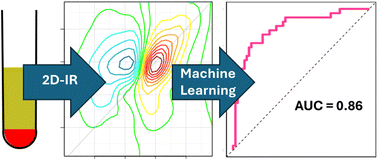 Graphical abstract: Machine-learning based classification of 2D-IR liquid biopsies enables stratification of melanoma relapse risk