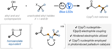 Graphical abstract: Employment of a C(sp3)-based nucleophile for photoinduced palladium-catalysed cross-coupling
