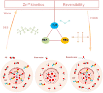 Graphical abstract: A hydrated deep eutectic electrolyte with finely-tuned solvation chemistry for high-performance zinc-ion batteries