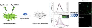 Graphical abstract: A simple turn-off fluorescent chemosensor based on a Schiff base structure for ultrafast and highly selective trace detection of Cu2+ ions in aqueous solutions