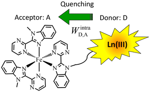 Graphical abstract: Molecular Fe(ii)–Ln(iii) dyads for luminescence reading of spin-state equilibria at the molecular level