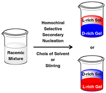Graphical abstract: Macroscopic chiral symmetry breaking in gelation of Fmoc-amino acids: homochiral selective secondary nucleation promoted by the choice of solvent or stirring