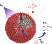 Graphical abstract: Supramolecular self-assembly of metal complex surfactants (MeCS) into micellar nanoscale reactors in aqueous solution