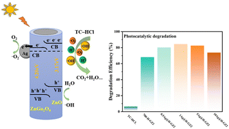 Graphical abstract: Enhanced photocatalytic degradation of tetracycline hydrochloride by hollow nanofiber Ag@ZnGa2O4/ZnO with synergistic effects of LSPR and S-scheme interface engineering