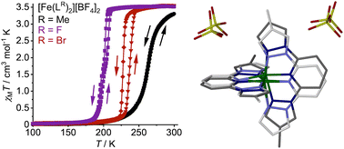 Graphical abstract: The impact of whole-molecule disorder on spin-crossover in a family of isomorphous molecular crystals
