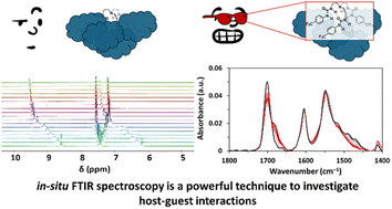 Graphical abstract: Expanding the toolbox for supramolecular chemistry: probing host–guest interactions and binding with in situ FTIR spectroscopy