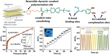 Graphical abstract: An intrinsic self-healable supramolecular dynamic covalent elastomer for sustainable high-performance tactile sensing