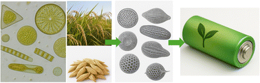 Graphical abstract: On the use of bioprecursors for sustainable silicon-based anodes for Li-ion batteries