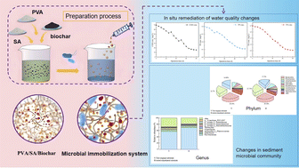 Graphical abstract: In situ remediation of eutrophic Wolong Lake sediments using novel PVA-SA-biochar and PVA-SA-zeolite embedded immobilized indigenous microorganisms: a pilot study
