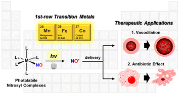 Graphical abstract: Photo-triggered NO release of nitrosyl complexes bearing first-row transition metals and therapeutic applications