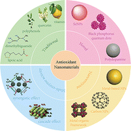 Graphical abstract: Nanozymes as next-generation ROS scavengers: design strategies, catalytic mechanisms, and therapeutic frontiers