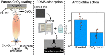 Graphical abstract: Prevention of uropathogenic E. coli biofilm formation by hydrophobic nanoparticle coatings on polymeric substrates