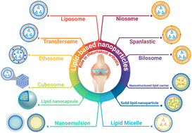 Graphical abstract: Lipid-based nanocarriers: an attractive approach for rheumatoid arthritis management