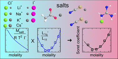Graphical abstract: Analyzing the concentration-dependent Soret coefficient minimum in salt solutions: an overview