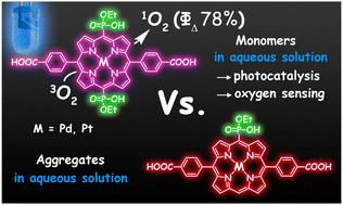 Graphical abstract: Water-soluble platinum and palladium porphyrins with peripheral ethyl phosphonic acid substituents: synthesis, aggregation in solution, and photocatalytic properties